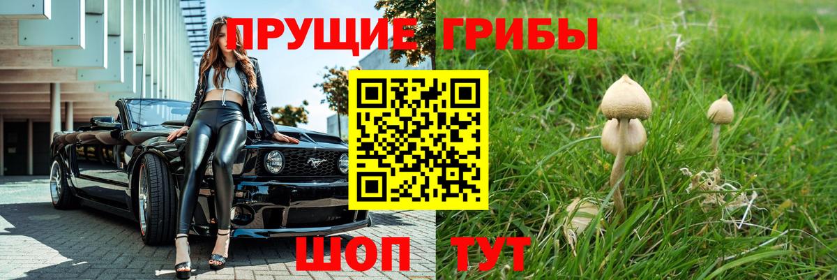 купить наркоту  Вход с VPN  Знаменск  Галлюциногенные грибы MAGIC MUSHROOMS  Псилоцибиновые грибы мицелий 
